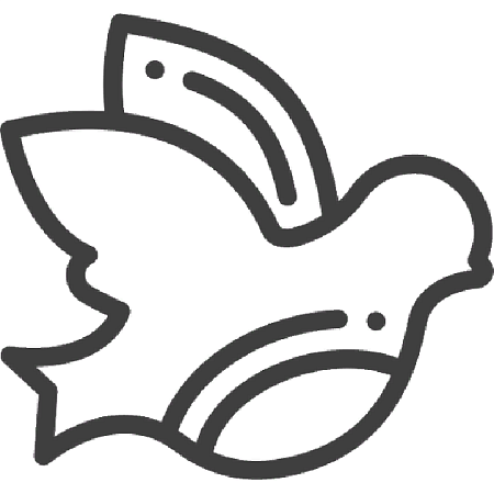 ТВОЕ ПРАВО, СРООЗПП