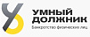 Умный должник